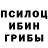 Псилоцибиновые грибы GOLDEN TEACHER Lev Ivanov