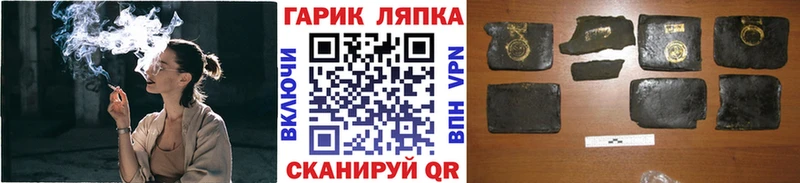 ГАШ Premium  Можга 
