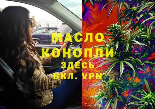шишки Арсеньев