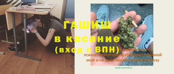 шишки Арсеньев