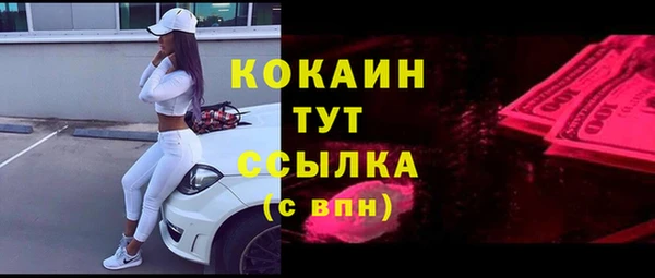 шишки Арсеньев