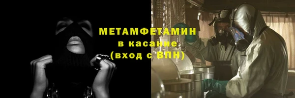 шишки Арсеньев
