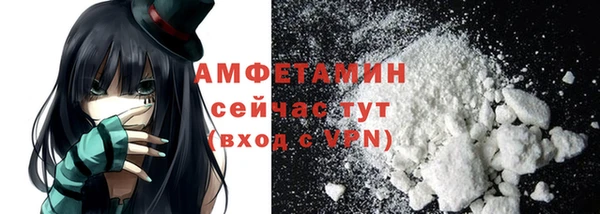 дурь Пересвет