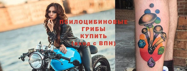 молекула духа Переславль-Залесский